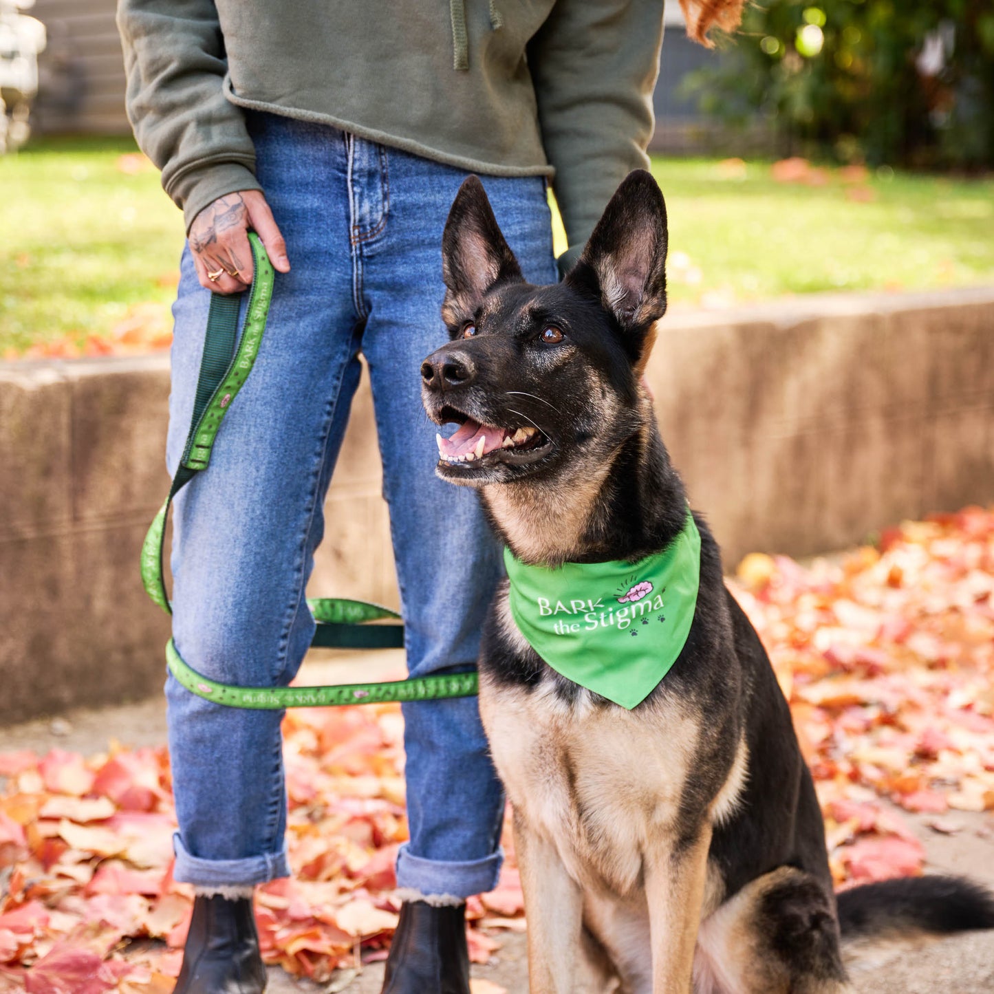 Bark the Stigma™ Bandana Collar Bundle