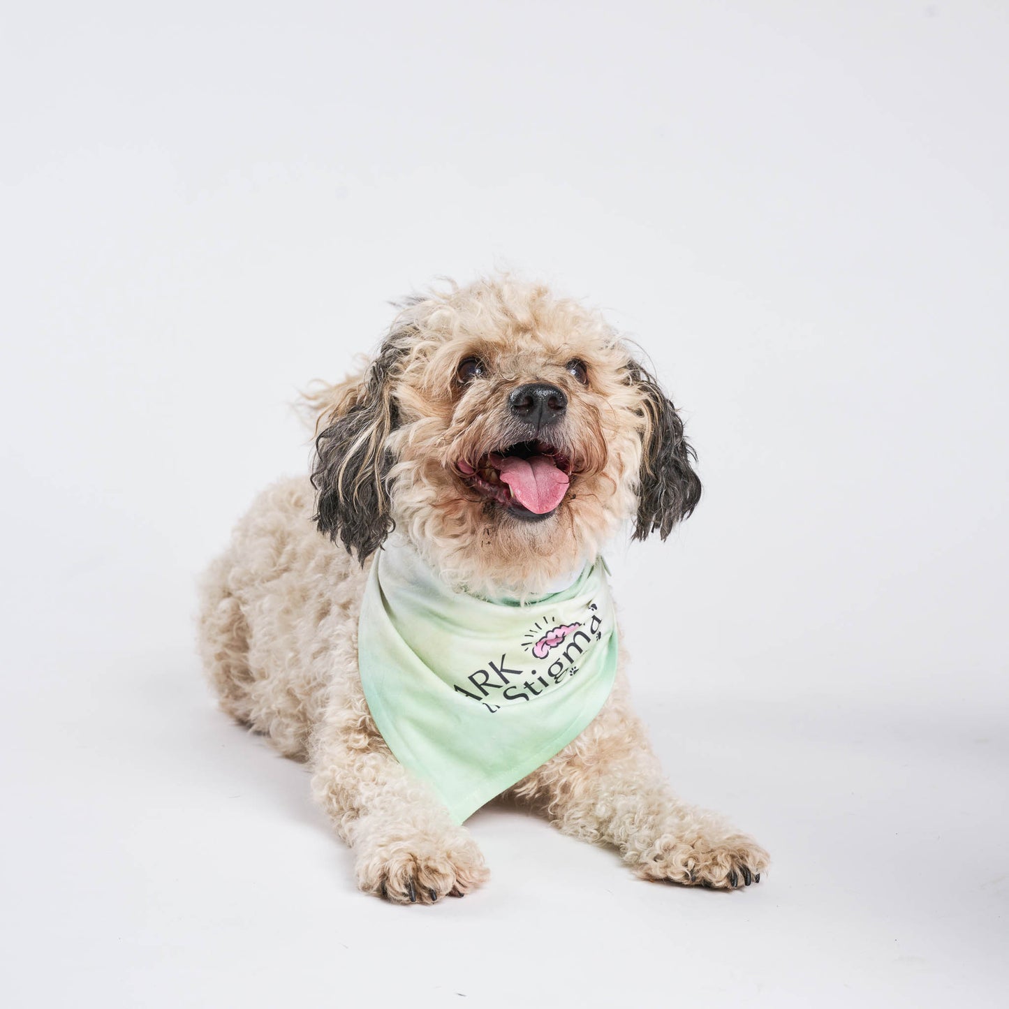 Bark the Stigma™ Tie Bandana