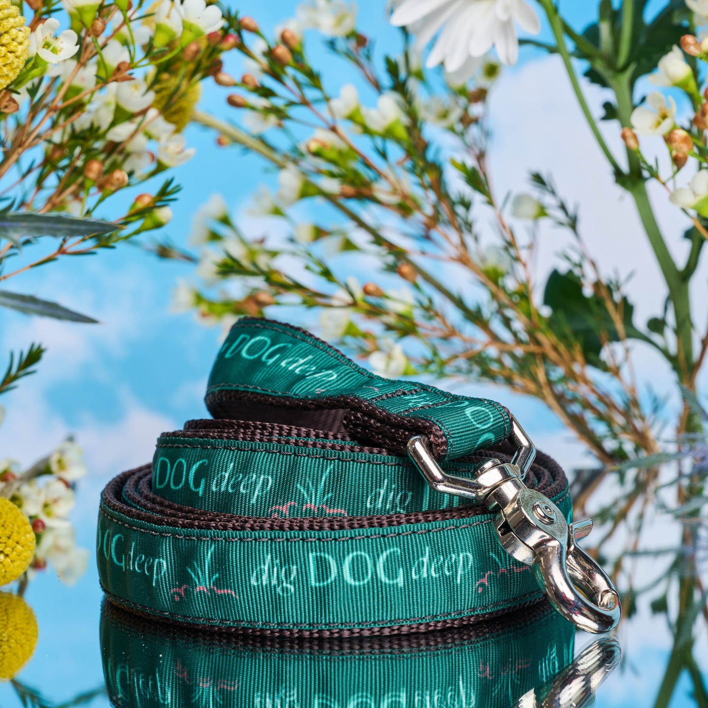 Dig Dog Deep™ Standard 6ft Leash