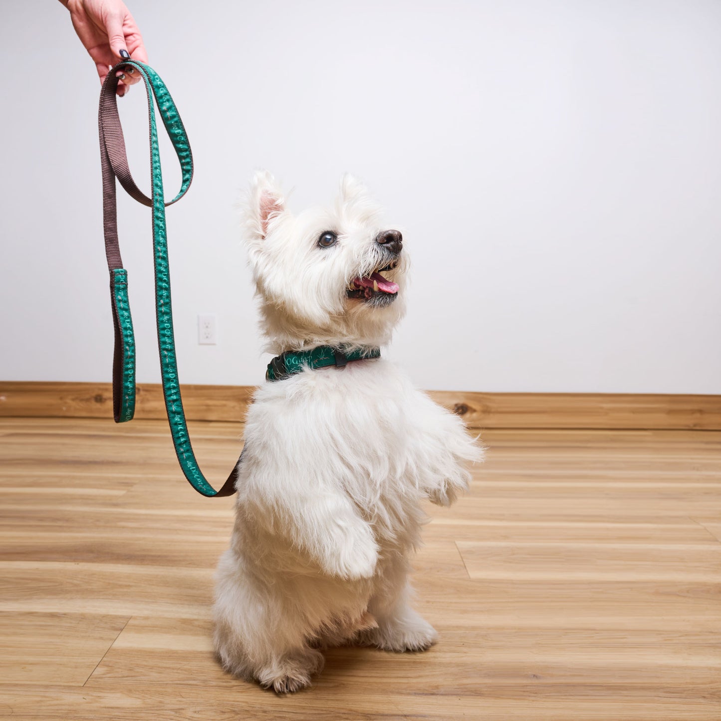 Dig Dog Deep™ Standard 6ft Leash