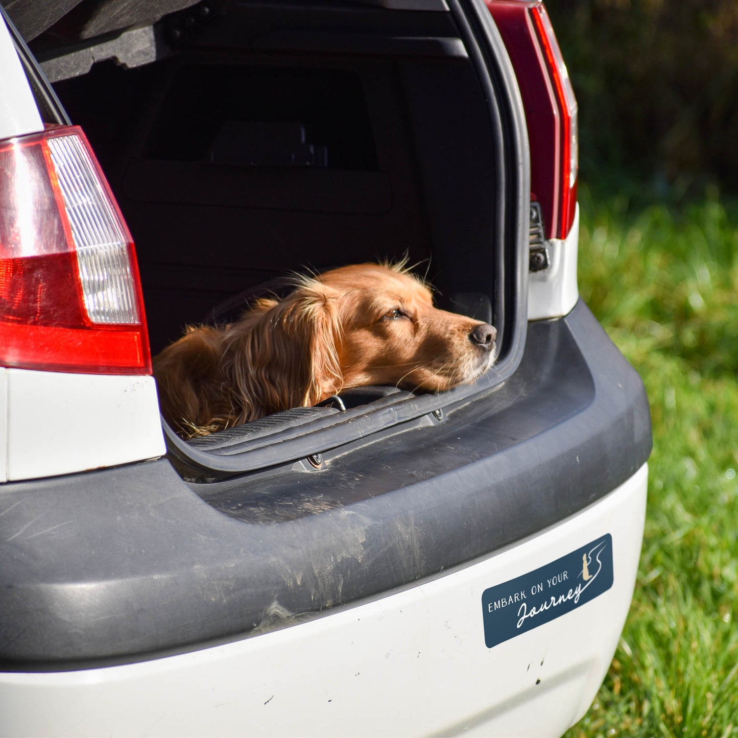 Embark on Your Journey Bumper Sticker
