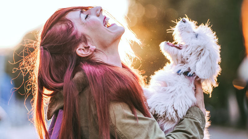 Human animal bond
