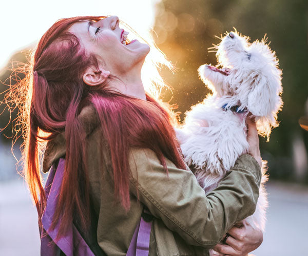 Human animal bond
