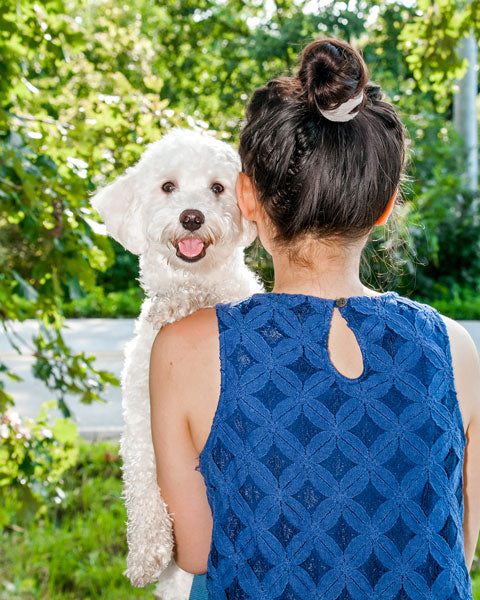 Lydia and Jack the Maltipoo looking forward