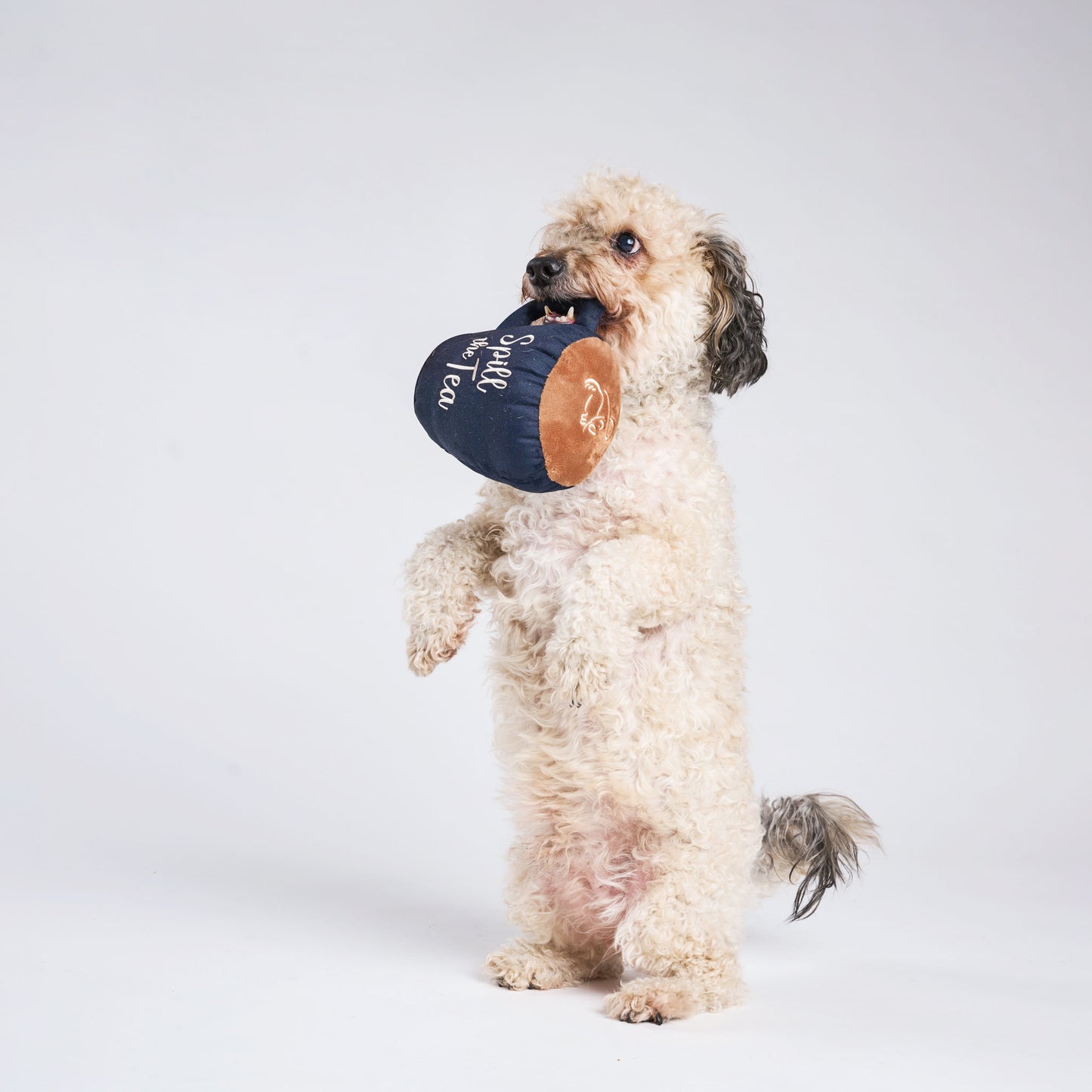 Spill the Tea Plush Mug Dog Toy