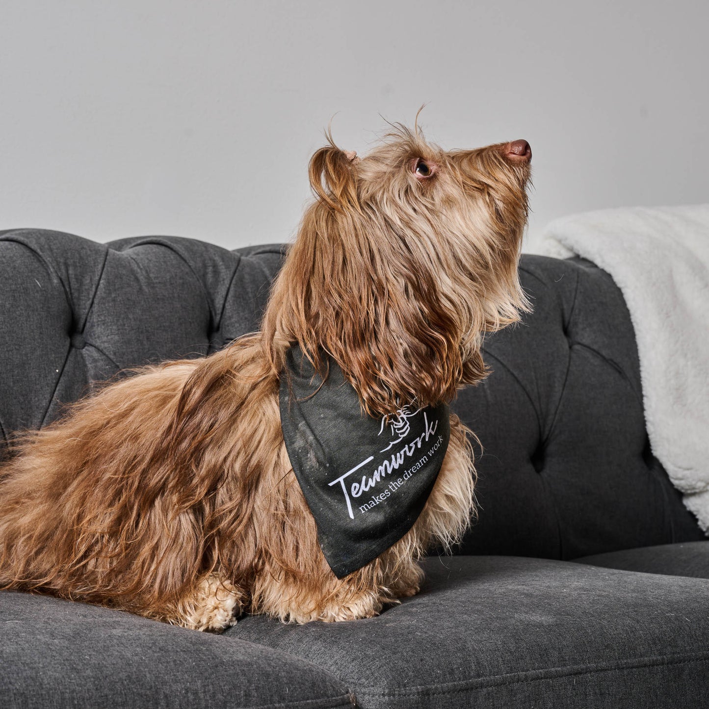 Teamwork Makes the Dream Work Tie Bandana