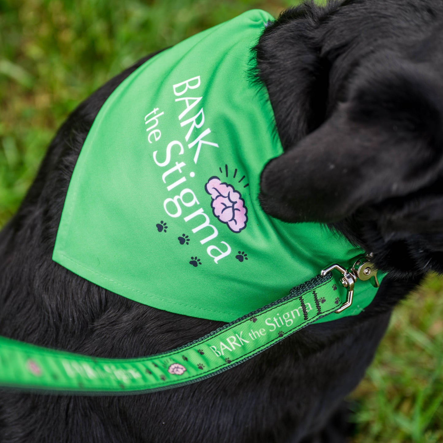 Bark the Stigma™ Bandana Collar Bundle