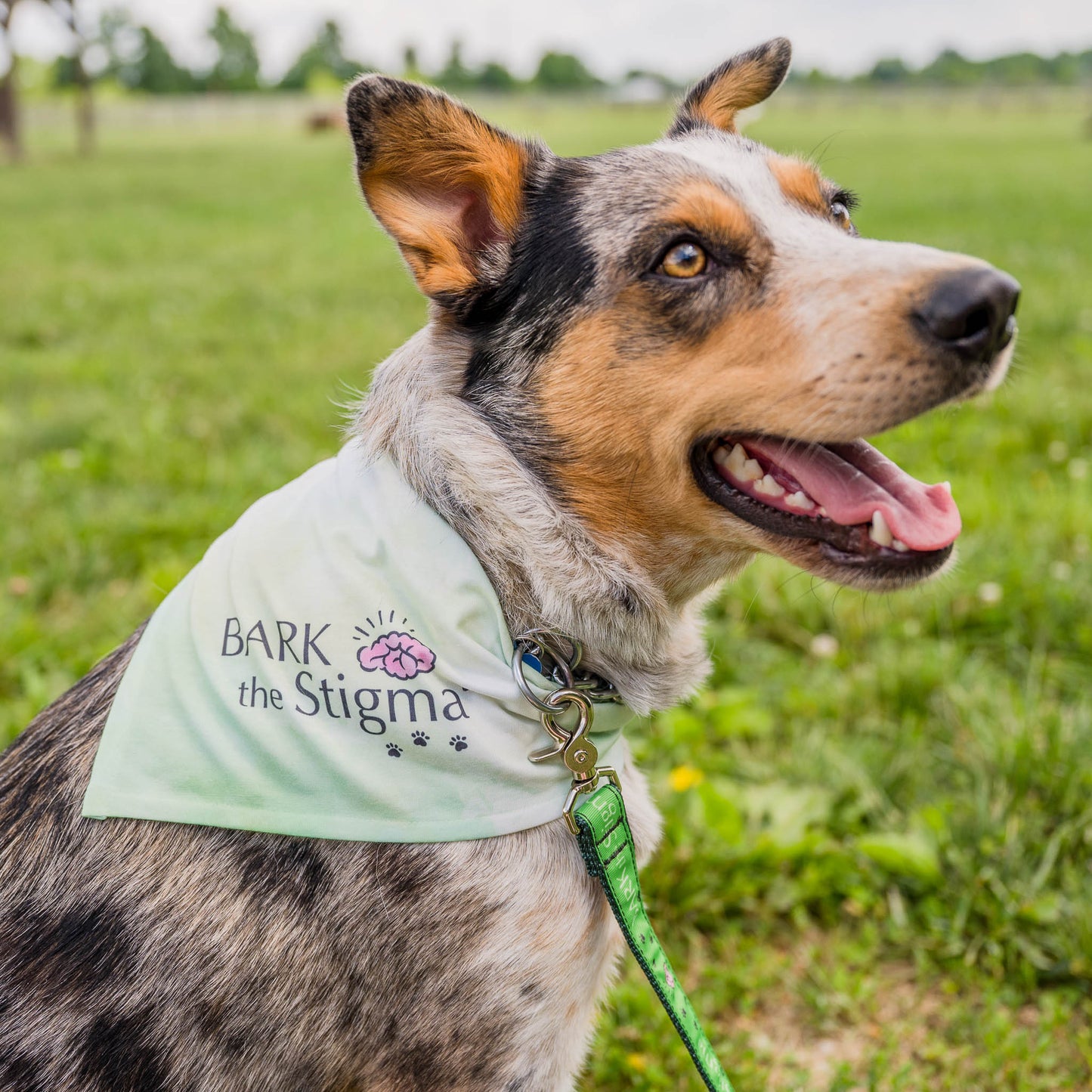 Bark the Stigma™ Tie Bandana