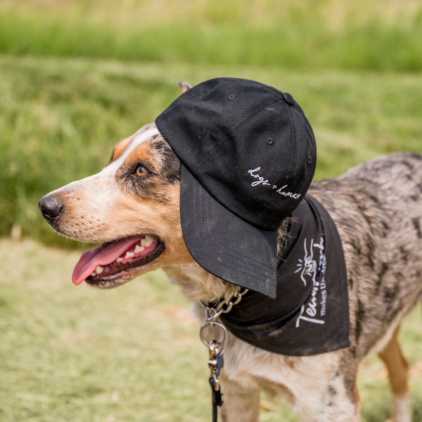Teamwork Makes the Dream Work Tie Bandana