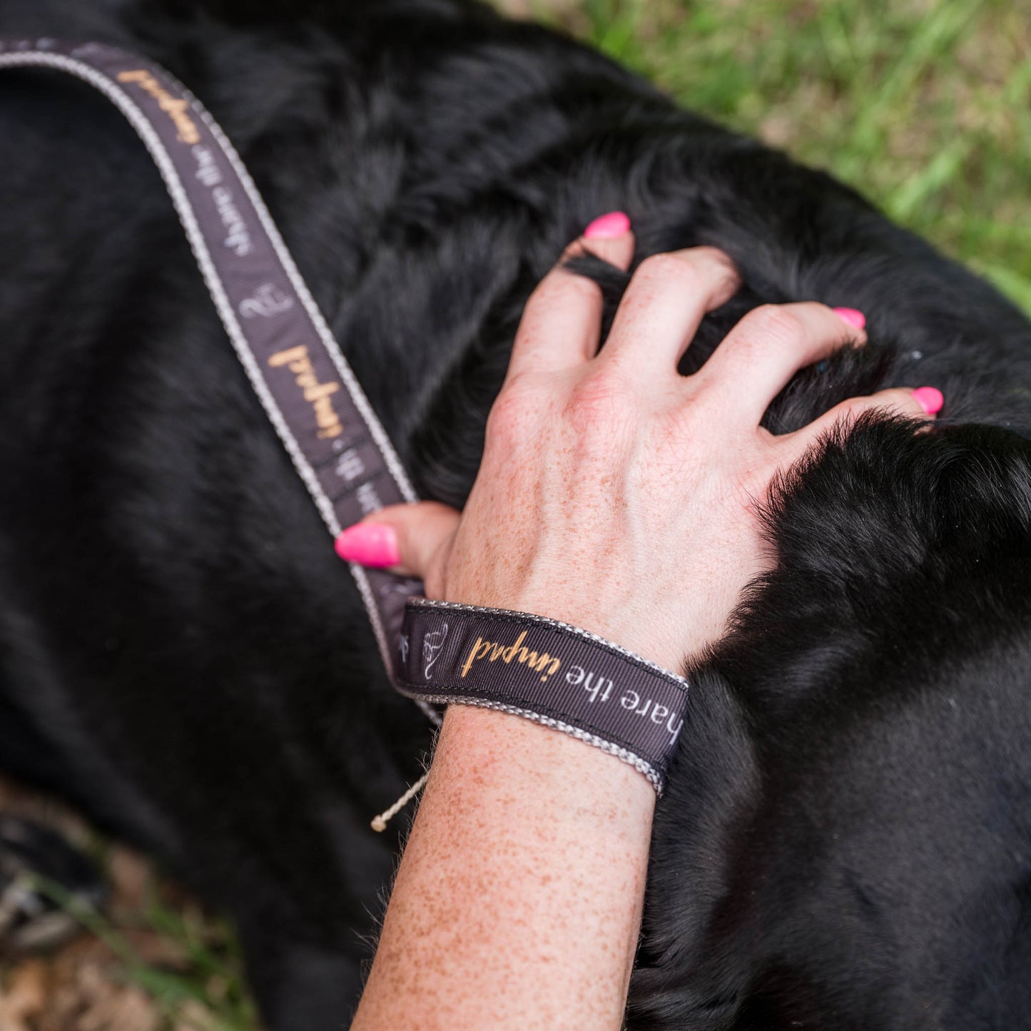 Share the Impact™ Standard 6ft Leash