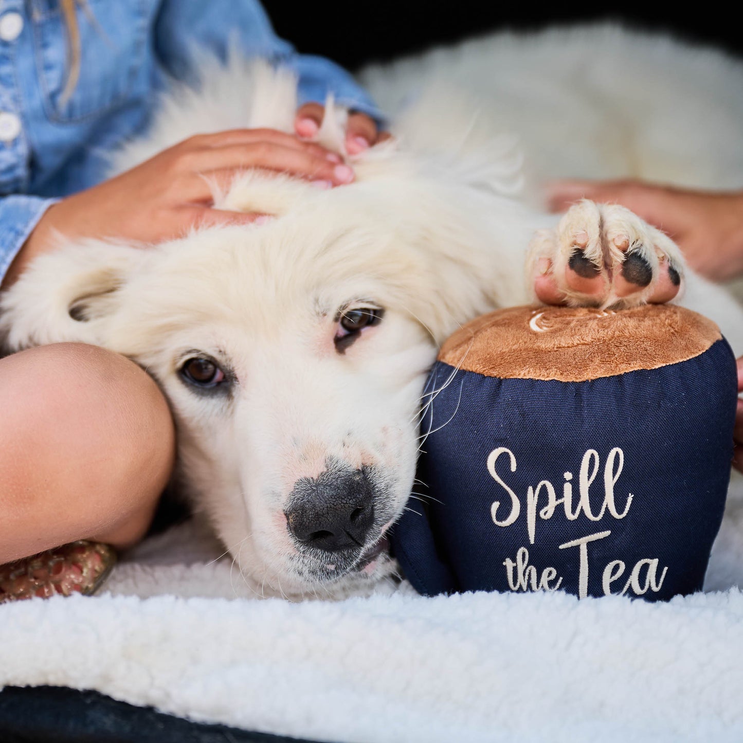 Spill the Tea Plush Mug Dog Toy