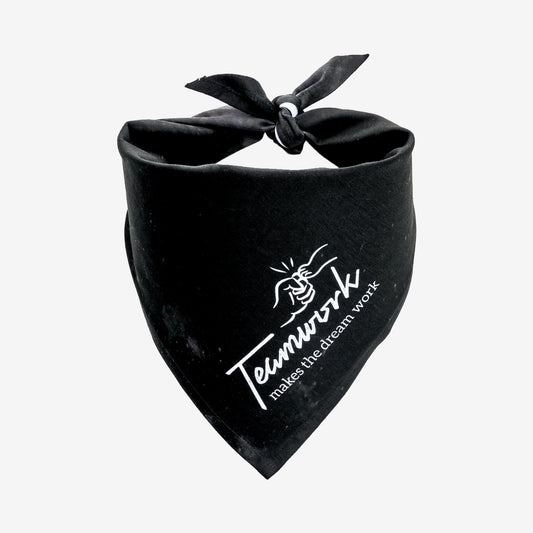 Teamwork Makes the Dream Work Tie Bandana