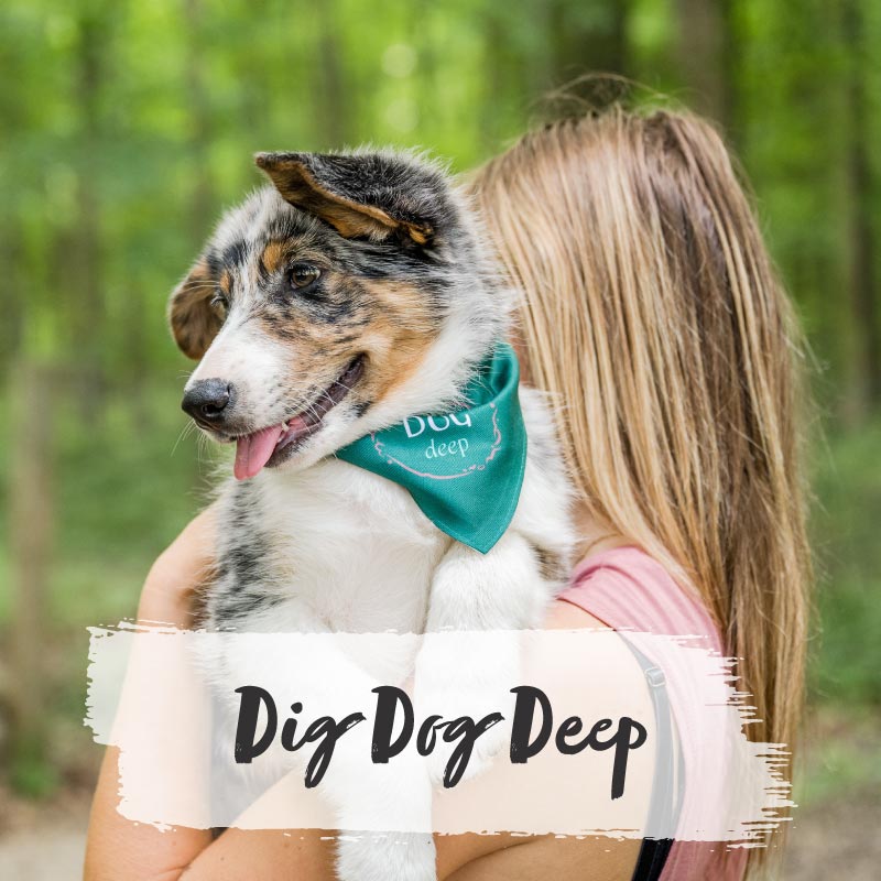 Dig Dog Deep™