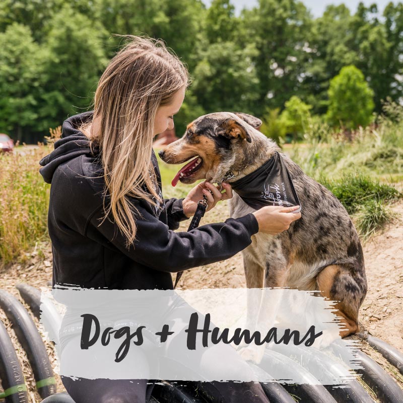 Dogs + Humans
