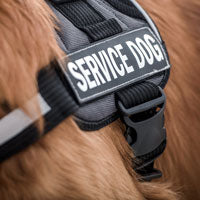 Service dog vest